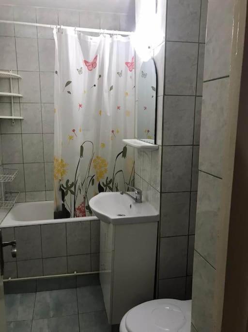Apartament Confortabil Piteşti Eksteriør billede